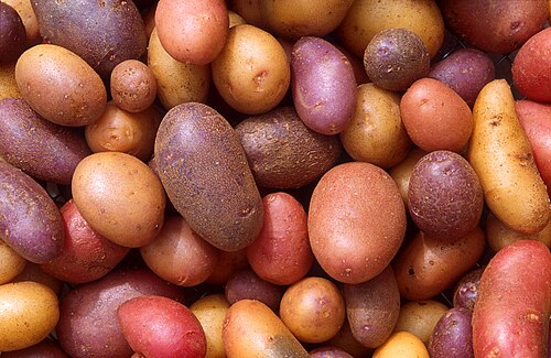 Potato (Pakistan)