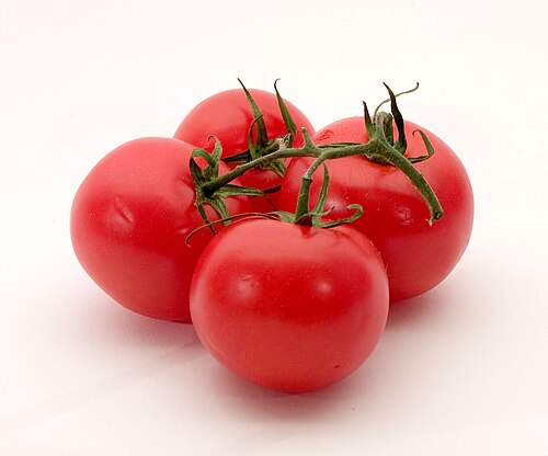 Tomato (Oman)